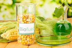 Gegin biofuel availability