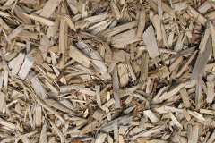 biomass boilers Gegin