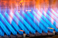 Gegin gas fired boilers